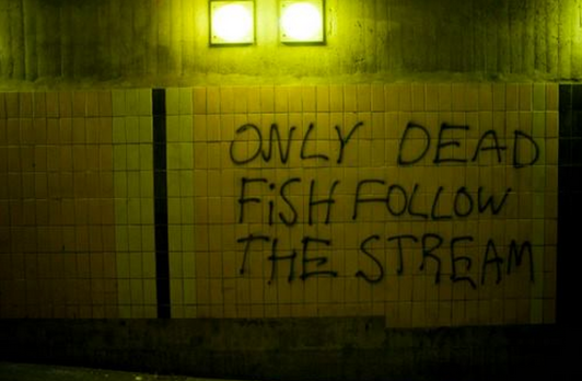only_dead_fish_follow_the_stream____by_schalldruck-d7xwex1.png